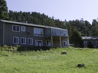 80 Saddle Ln, Bailey, CO 80421