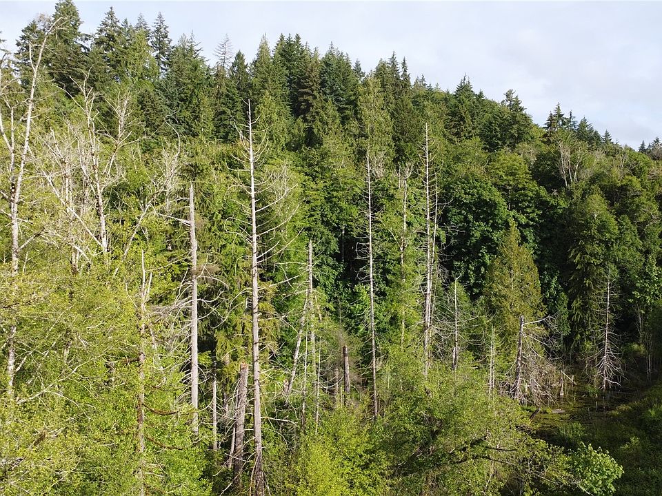 1st image of 2 WA-3 Highway