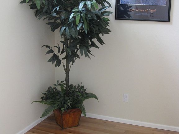 3rd image of 4244 65th Avenue Ct E