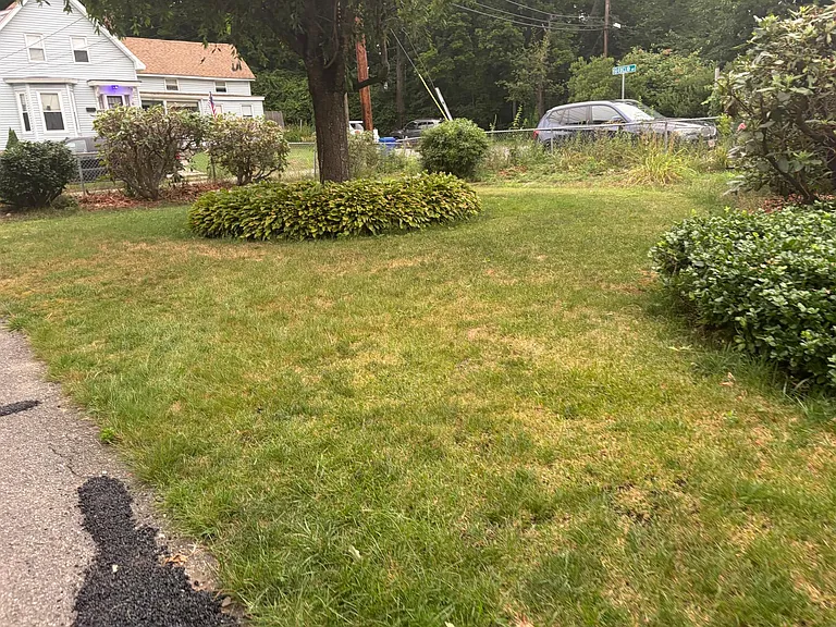 17 Florida Rd #1 — Photo 6