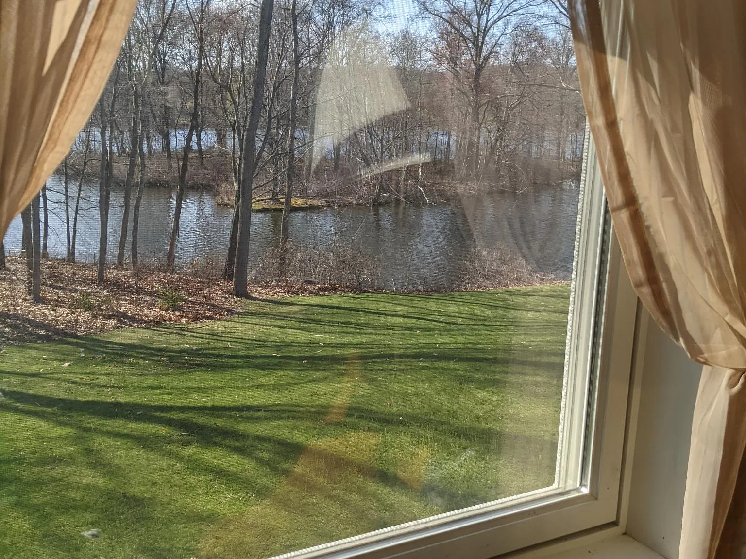 1 bed, 970 sqft, $2,100 — Photo 2