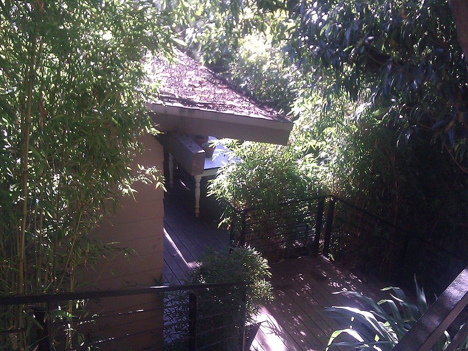 1st image of 383 Sage Ln