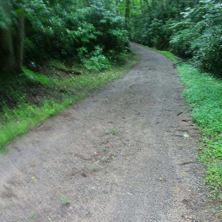 1st image of Laurel Fork 65 #20