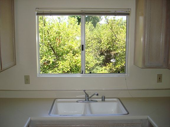 Peaceful view from kitchen sink