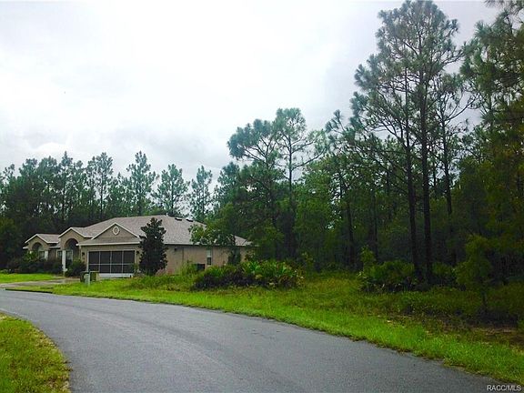 2nd image of 16 Black Willow St