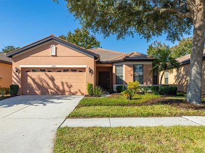 5808 Hidden Falls Ln, Apollo Beach, FL, 33572