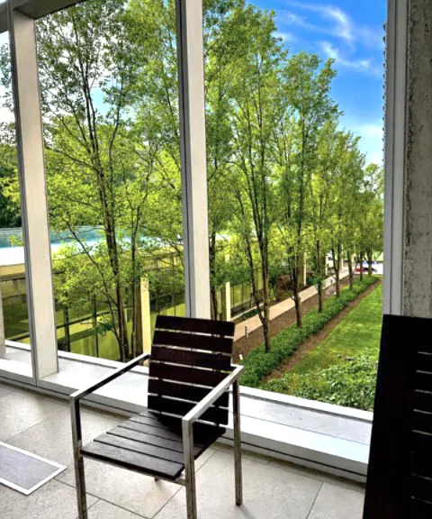 View of sundeck from the pool
