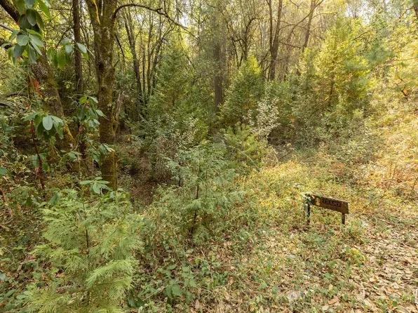 0 Toyon Rd, Pine Grove, CA 95665