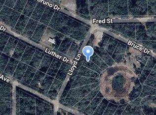 Lloyd Dr #37, Interlachen, FL 32148