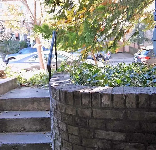 1102 D St SE #B — Photo 10