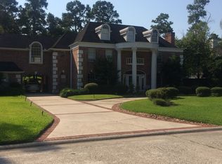 22 S Brokenfern Dr, Spring, TX 77380