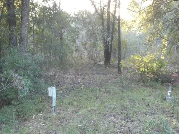 1344 SW Drew Feagle Ave, Fort White, FL 32038