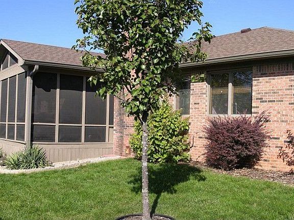 4th image of 3321 Wild Ivy Cir