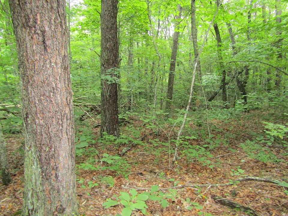 1st image of 0 Fern Pl Lot 27