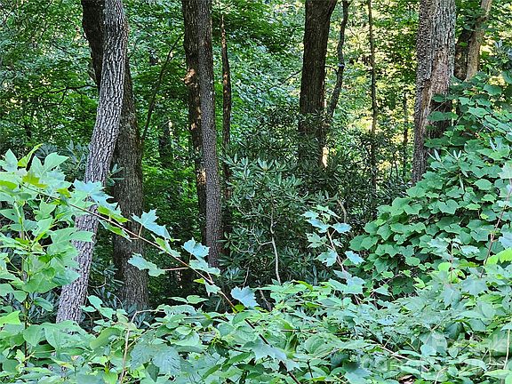 2nd image of 109 Big Ridge Rd #109