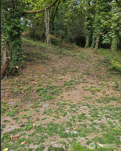 5th image of 725 Rainier Avenue N