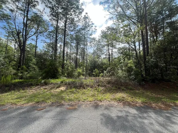 LOT 43 SW 201st Cir, Dunnellon, FL 34431