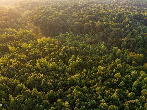 4th image of 0 Philips Rd