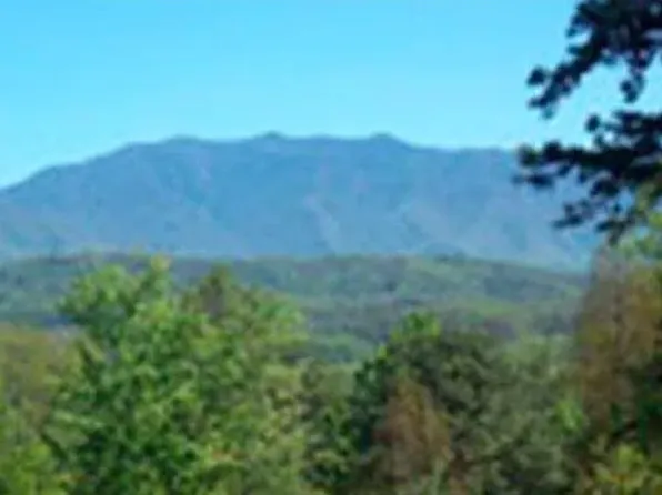 1837 Walker Trl #4DL, Sevierville, TN 37876