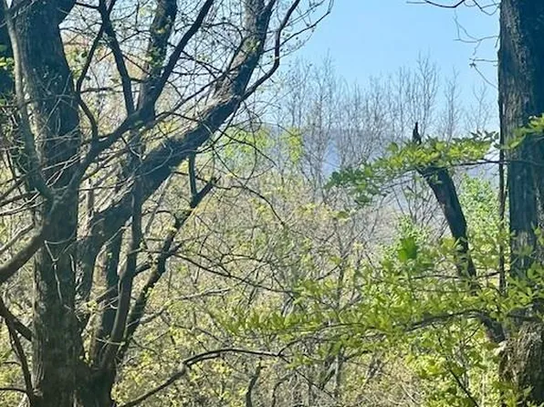 450 Wild Turkey Blf APT 3013, Jasper, GA 30143