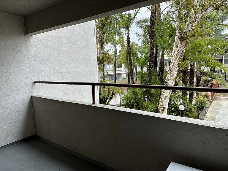 Palm Terrace Apartments — Photo 16