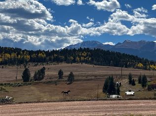 County Road 28, Woodland Park, CO 80863