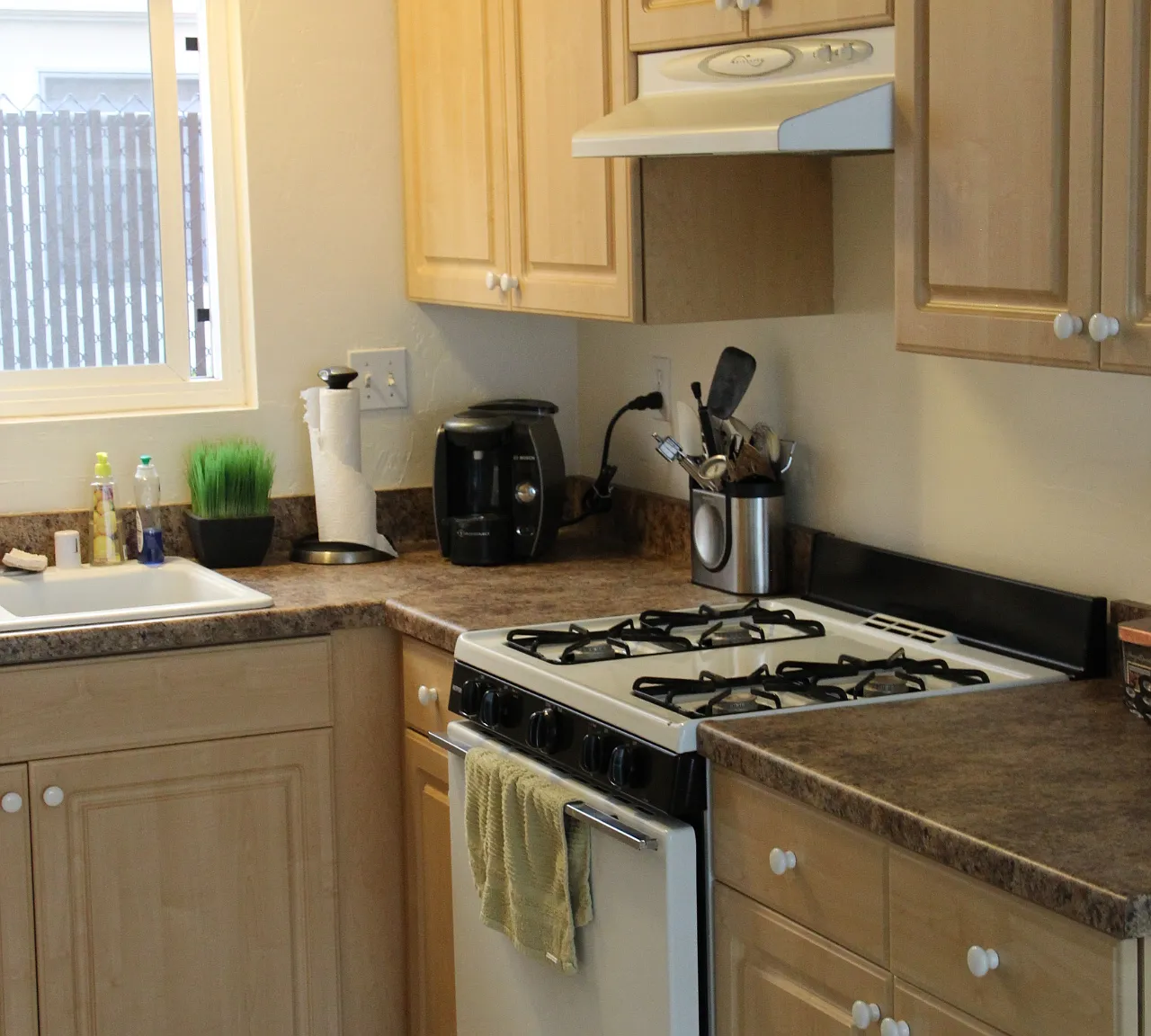 2 bed, 700 sqft, $3,300 — Photo 3