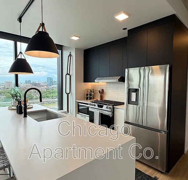 224 N Elizabeth St #411 — Photo 3