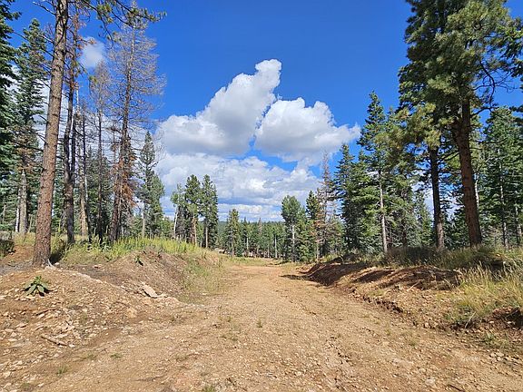 2nd image of 2030 E Big Timber Dr