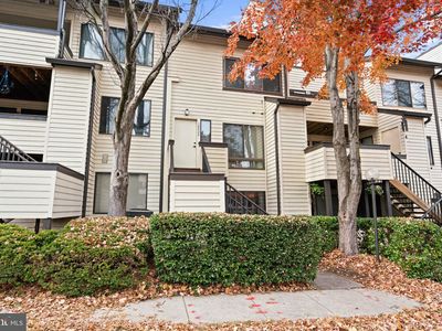 18422 Bishopstone Ct #313, Montgomery Village, MD, 20886