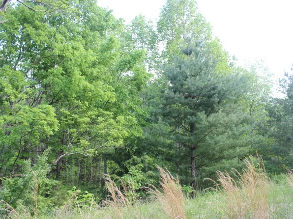 Shanghai Rd, La Follette, TN 37766