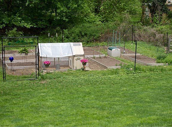 Biddulph Vegatable Garden
