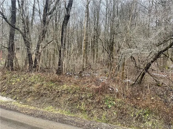 0 Gardner Rd #2, Pompey, NY 13138