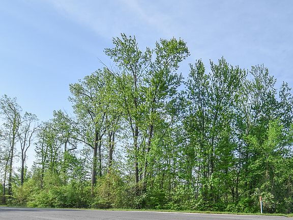 2nd image of N Union City Rd