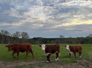 0 Ward Mountain Rd, Adairsville, GA 30103