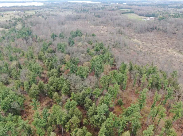 80 AC W Oakwood Dr Acres, Mosinee, WI 54455
