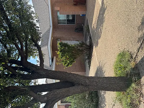 4519 Crockett Ave Photo 1