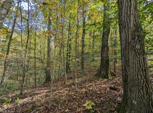 Crabapple Rd, Beallsville, OH 43716