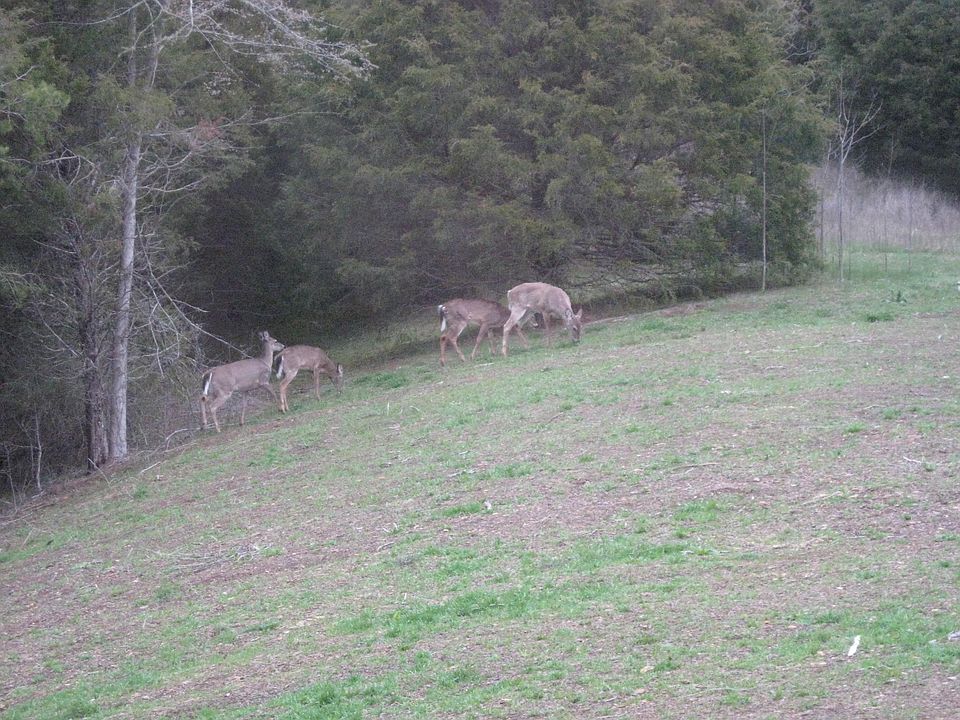 2nd image of 3056 Caywood Rd