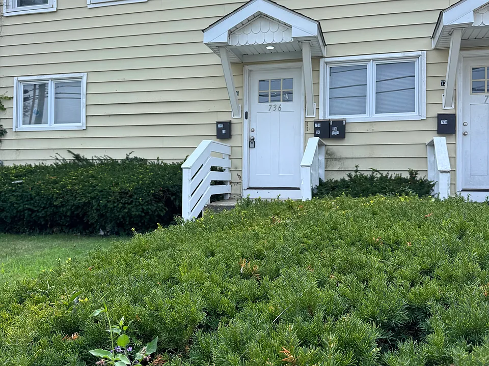736 Savin Ave #2