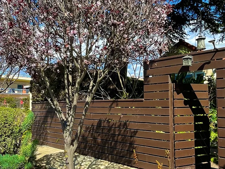 front gate