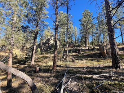 Shadow Mountain Drive, Conifer, CO, 80433