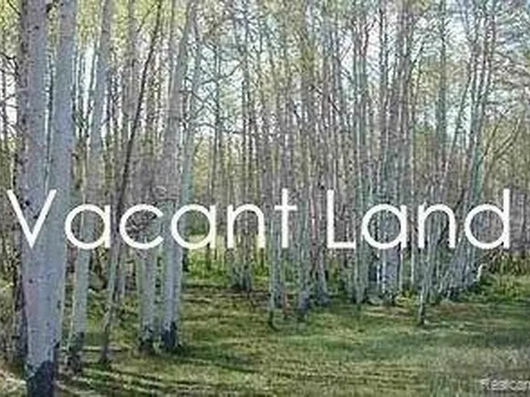 6130 Wayne Rd, Romulus, MI 48174