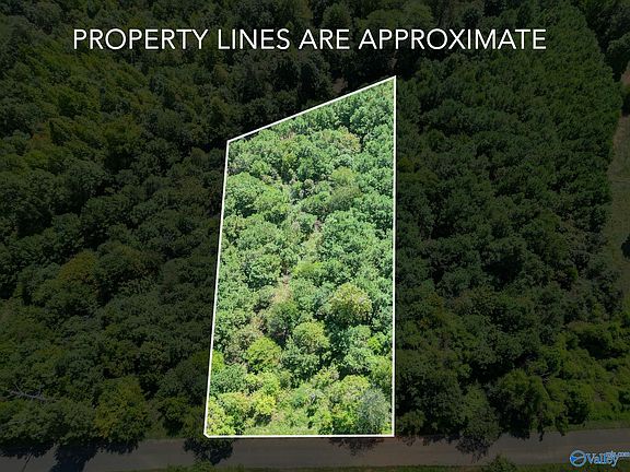 4th image of LOT 2&3 October Way
