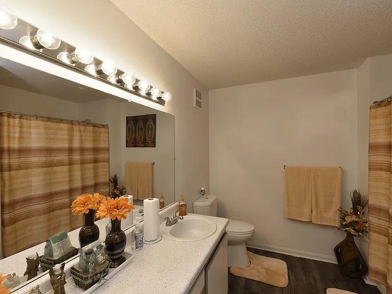 Double bathroom sinks with large mirror