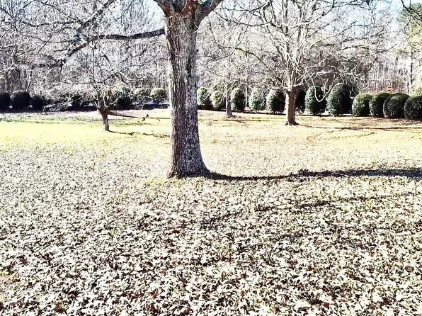 308 Aunt Carrie Pl, Lyman, SC 29365