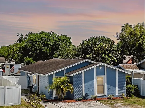 9206 WOOD LAKE BOULEVARD, TAMPA, FL 33615
