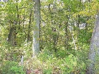 2nd image of 4658 Rhone Dr