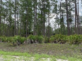 20 Wells Ave, Lehigh Acres, FL 33936