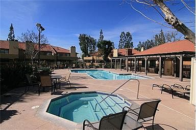 Pool & Jacuzzi